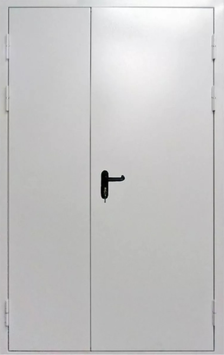 Феррони Противопожарная дверь ДПМ-02 EI 60 1470, арт. 0001344 - фото №1 (внешняя сторона)